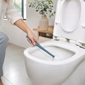 Blue toilet brush cleaning inside toilet bowl